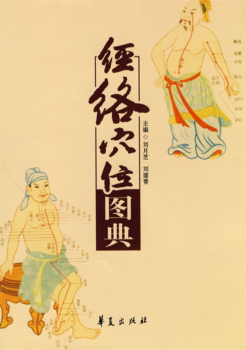 经络穴位图典